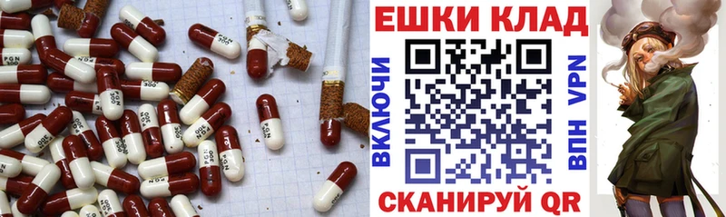 где купить наркоту  Шагонар  Экстази Дубай 
