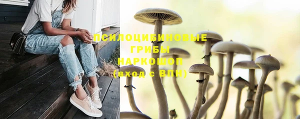 COCAINE Арсеньев