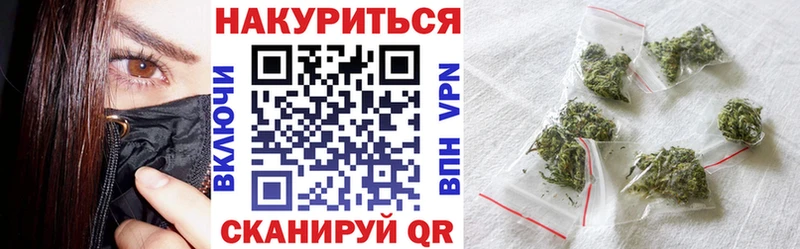 Бошки Шишки план  Шагонар 